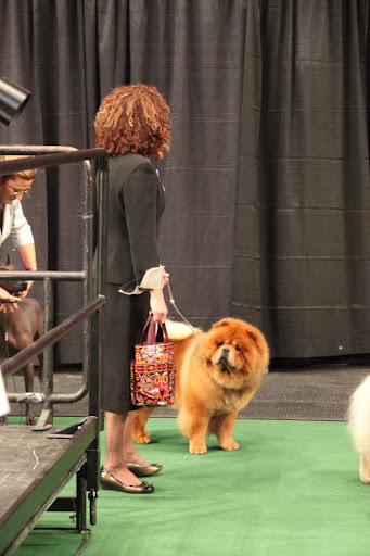 Jan, I'm a bit nervous, aren't you?  This ring is bigger than the one I competed in this morning!
