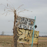 “Straw” - copyright David Thompson