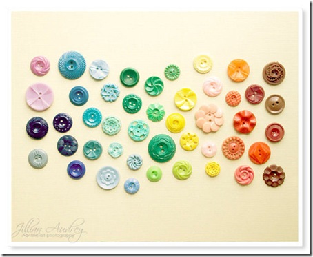 Rainbow Buttons Jillian Audrey