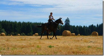 tammy in or tammy in or