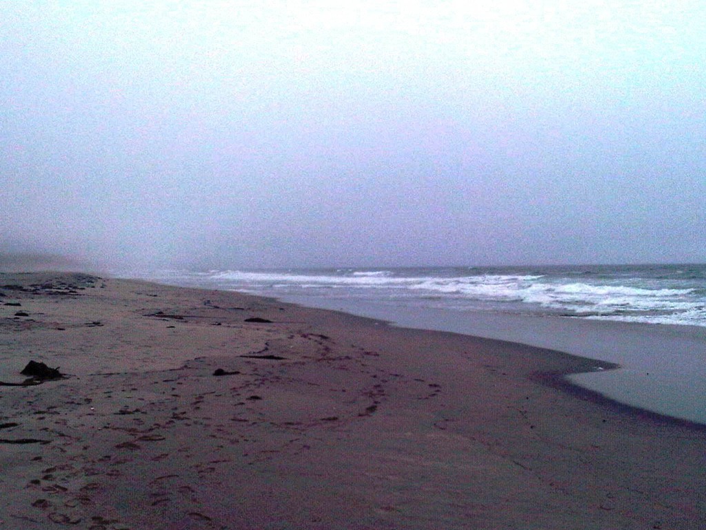 [IMG01717-20110824-1400%255B3%255D.jpg]