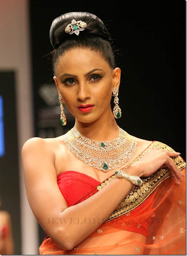 Indian Designer Collection
