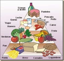 alimentos constructores