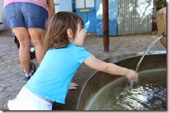 IMG_6598 IMG_6598