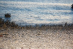 DSC_1991.JPG