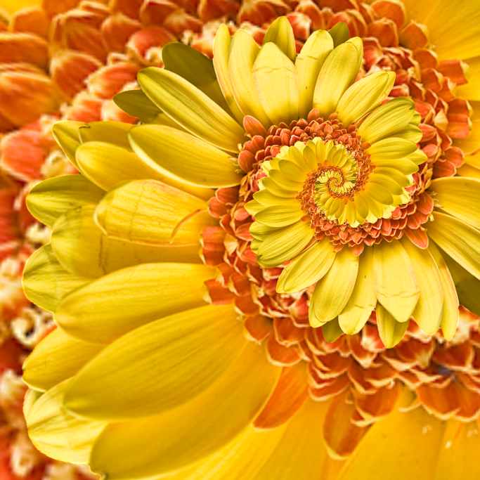 [Pedals%255B4%255D.png]