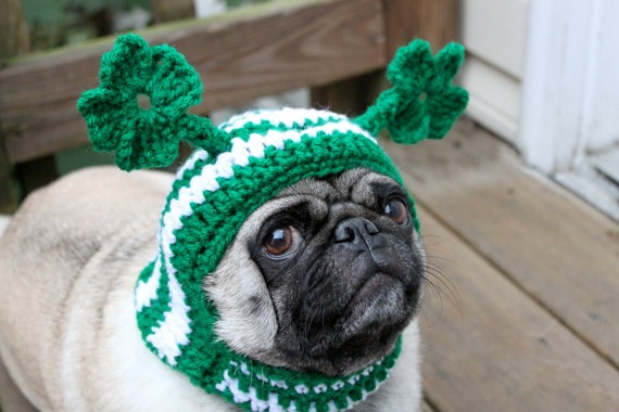 [st%2520Patricks%2520Day%2520doggie%2520hat%255B5%255D.jpg]