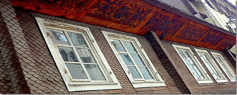 P1090391 P1090391
