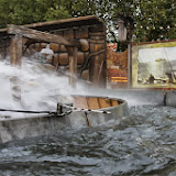 img_6247.jpg