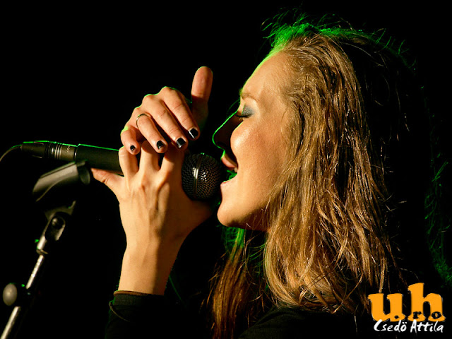 coldrockfest-9166971.jpg
