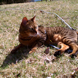 IMAG0184.jpg