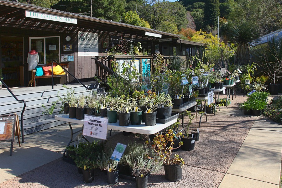 [120128_UCBG_plant_deck_09%255B6%255D.jpg]