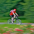  rowerrower.JPG