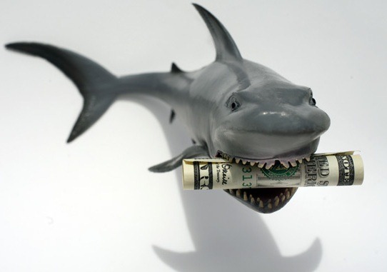 [business-sharks%255B4%255D.jpg]