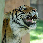 Australia Zoo