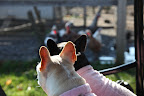 Franny, did you just hear a gobble-gobble?