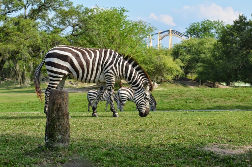 [DSC_8659%255B3%255D.jpg]