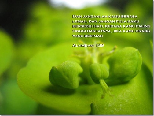 hebatnya-orang2-yang-beriman hebatnya-orang2-yang-beriman