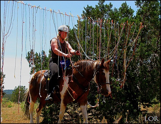 Apache11