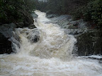 IMG_20120121_140431.jpg