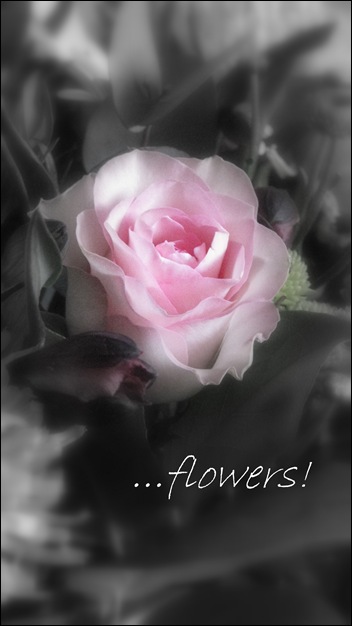 IMG_4036 IMG_4036