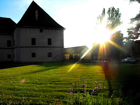 FŐOLDAL: http://www.gardenproiect.ro