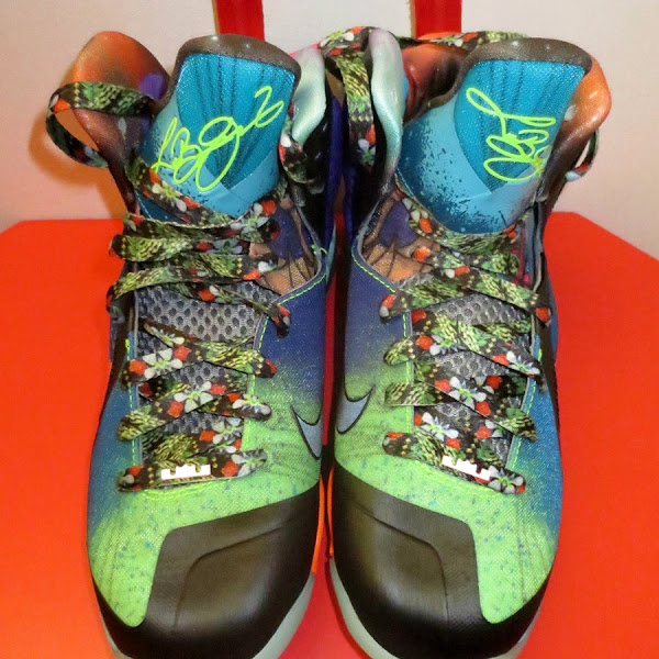 Predecessor of NIKE LEBRON X MVP 8211 8220What the8221 LeBron 9