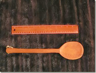 spoon1 spoon1
