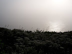 oregon_coast