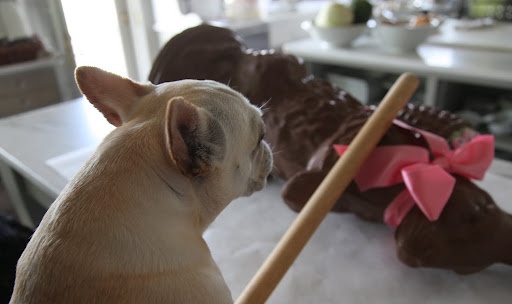 Martha told me to use this French rolling pin, or baton, for this task.  A very appropriate tool for a French bulldog, no?