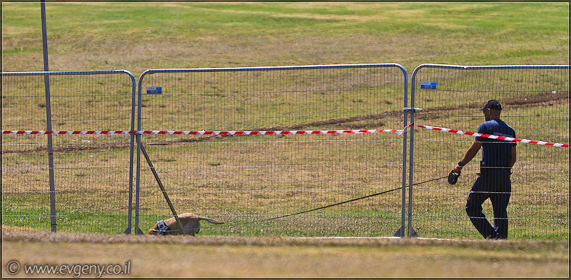 il/RedBull FlugTag 2011        (20110603 ta redbull 003 4595)