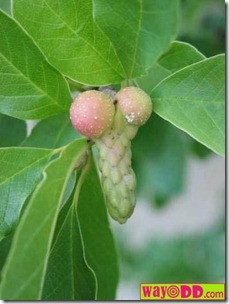 funny-pictures-do-you-have-a-nature-pensu-1hb funny-pictures-do-you-have-a-nature-pensu-1hb
