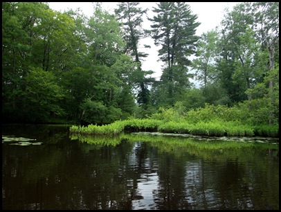 Kayaking the Exeter River 090