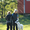 IMG_8400.jpg