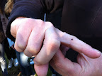 Infångad fästing på ForskarFredag i Flemingsberg 2011.