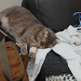 sleeping on clothes