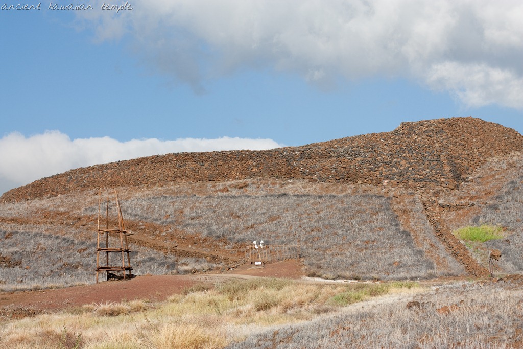 [20121212-IMG_2488%255B6%255D.jpg]