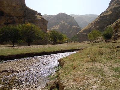 DSCN3842.jpg