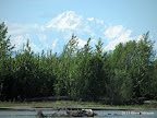 IMG_3673.JPG
