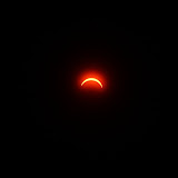 IMG_5729.JPG