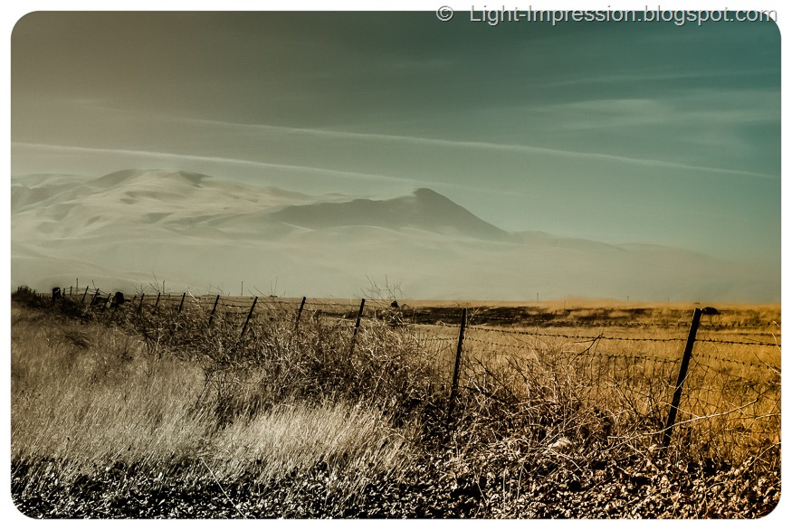 Light Impressions-Grapevine California