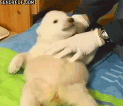 funny-gifs-haha-cant-fight-the-tickle-monster