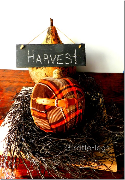 plaid pumpkin 2