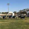 superleite2011_dia1607_61.JPG