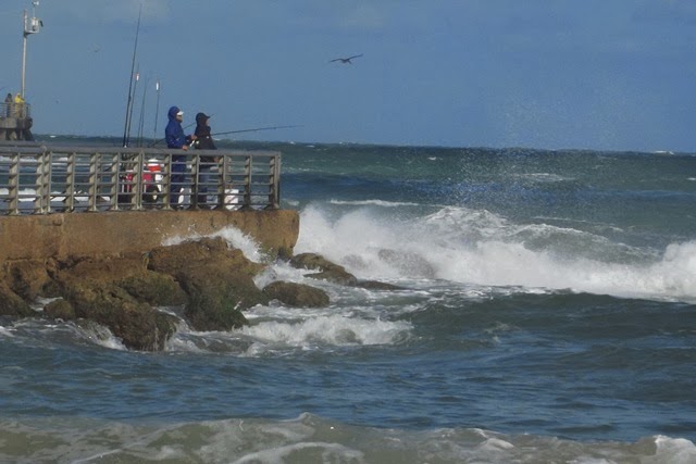 [Thursday%2520Dec%252012%2520%2520WINDY%2520118%255B3%255D.jpg]