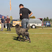 IMG_2905.JPG