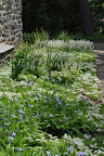 Spring carpet