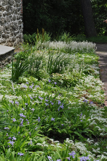 Spring carpet