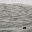 Dunes - à perte de vue Dunes - à perte de vue