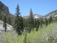 views in Baker Creek Photo views in Baker Creek Photo